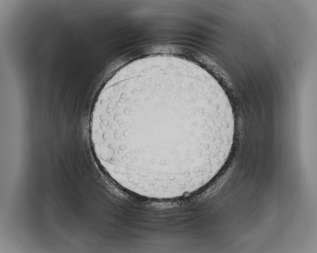 X0000108481033200905151219