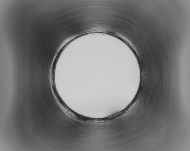 X0000108481034200905151219