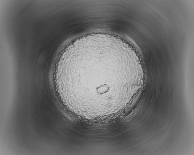 X0000108481035200905151219