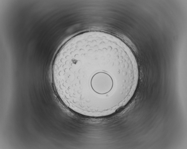 X0000108481036200905151219