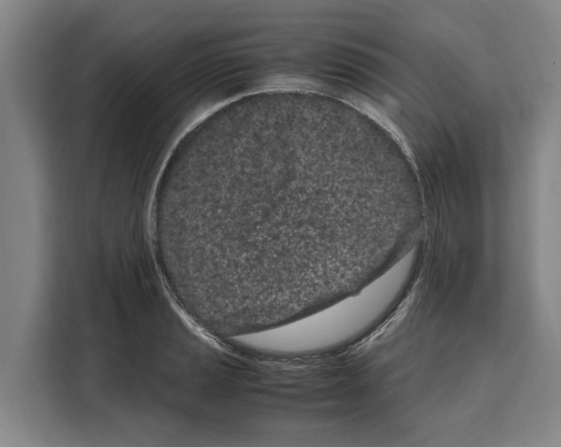 X0000108481037200905151219