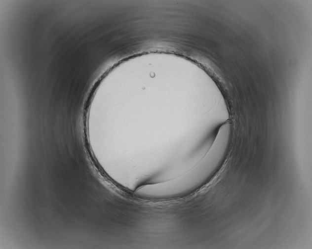 X0000108481038200905151219