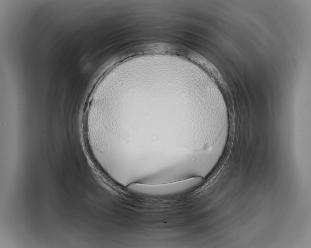 X0000108481039200905151219