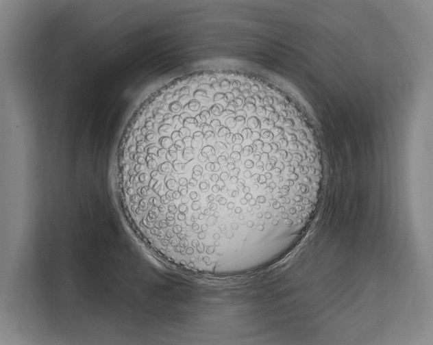 X0000108481040200905151219