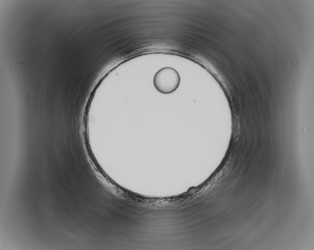 X0000108481042200905151219