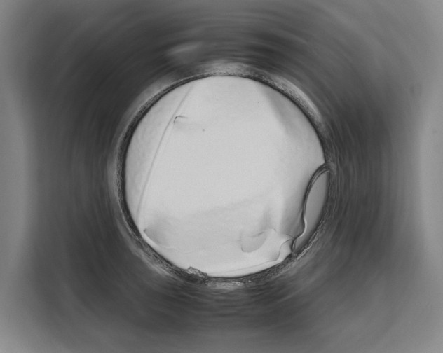 X0000108481043200905151219