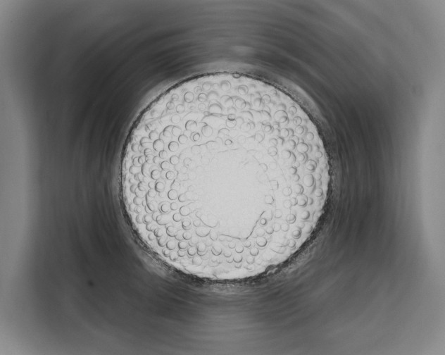 X0000108481044200905151219