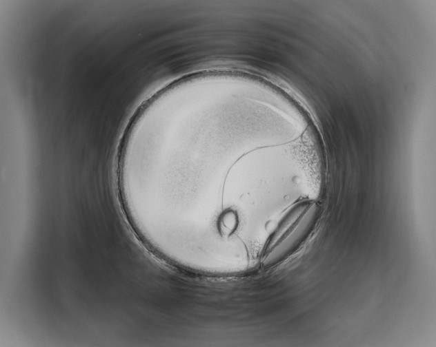 X0000108481045200905151219
