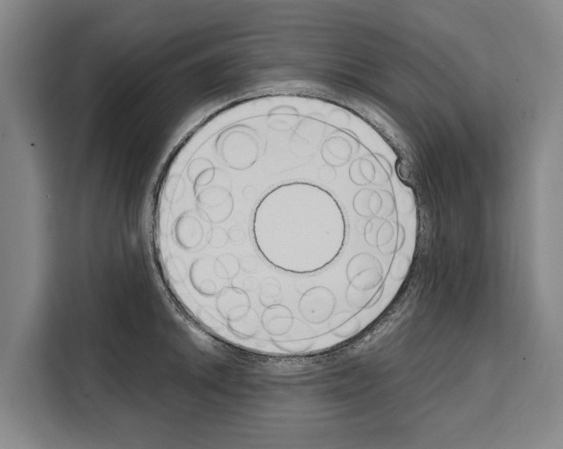 X0000108481046200905151219