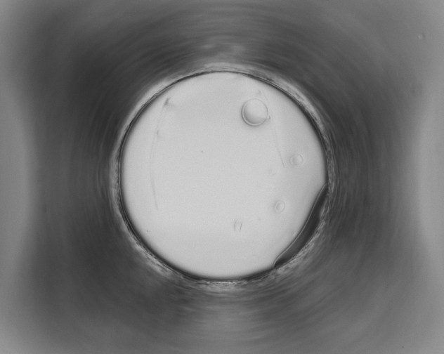 X0000108481048200905151219