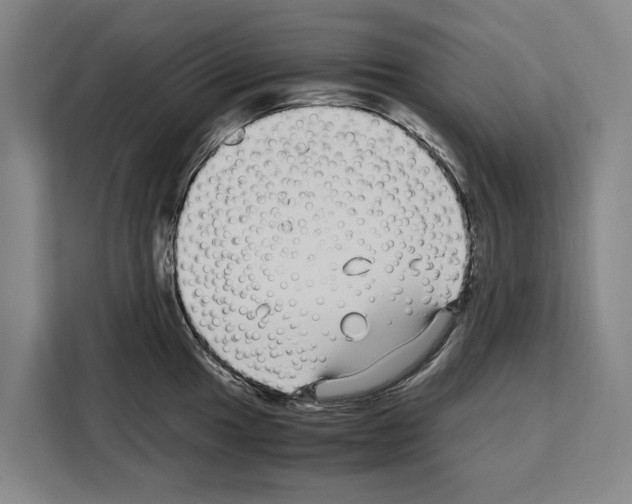 X0000108481049200905151219