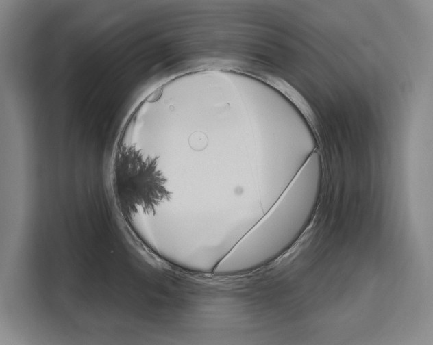 X0000108481052200905151219