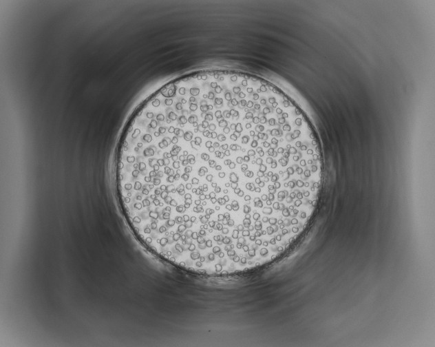 X0000108481053200905151219