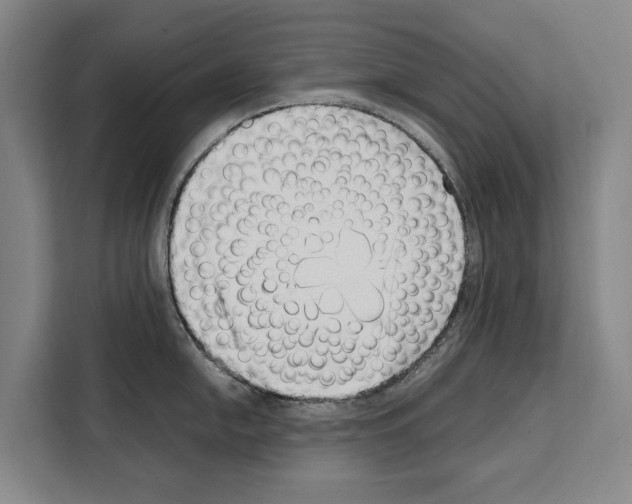 X0000108481054200905151219