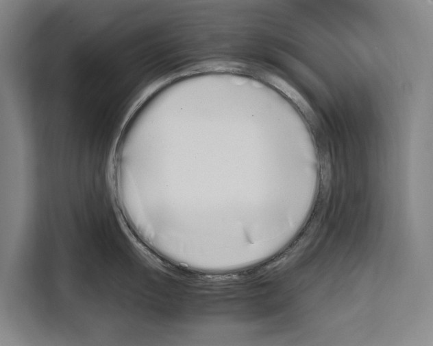 X0000108481055200905151219