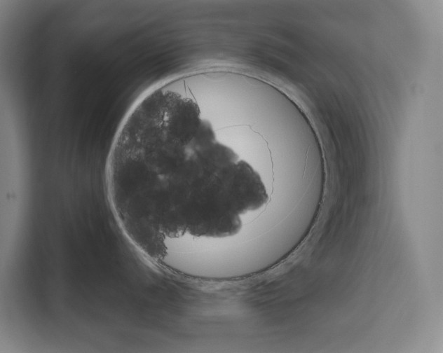 X0000108481056200905151219