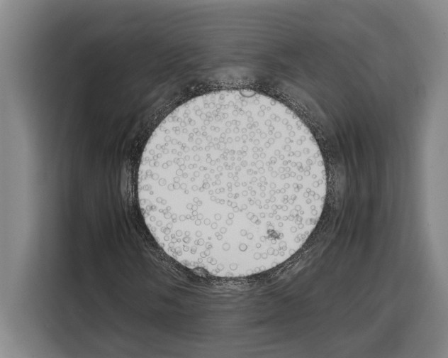 X0000108481058200905151218