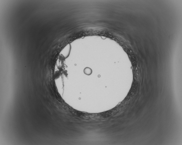 X0000108481061200905151218