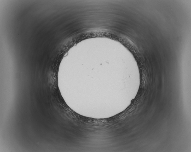 X0000108481062200905151218