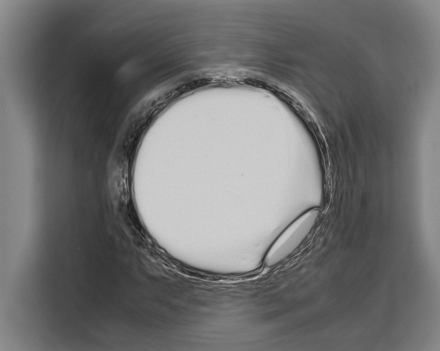 X0000108481063200905151218