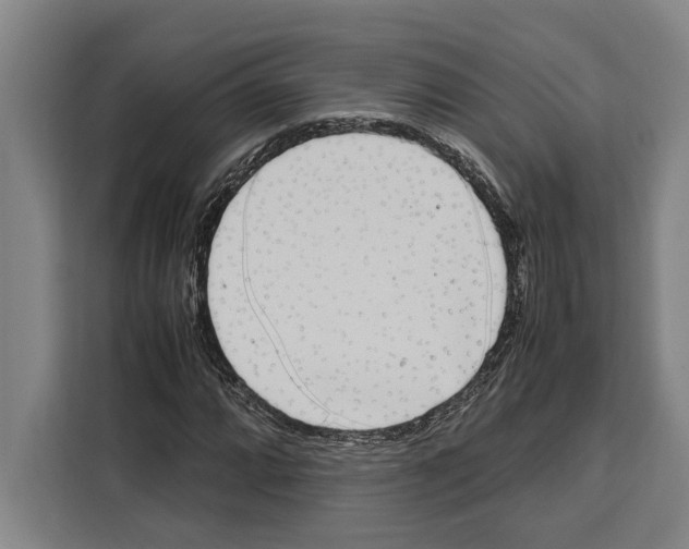 X0000108481064200905151218