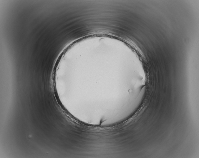 X0000108481068200905151218
