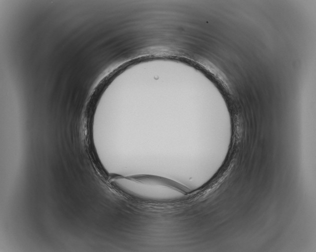 X0000108481070200905151218
