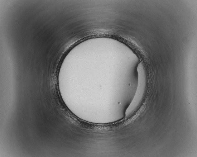 X0000108481073200905151218