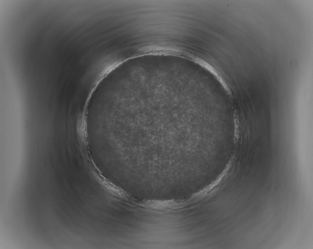 X0000108481074200905151218