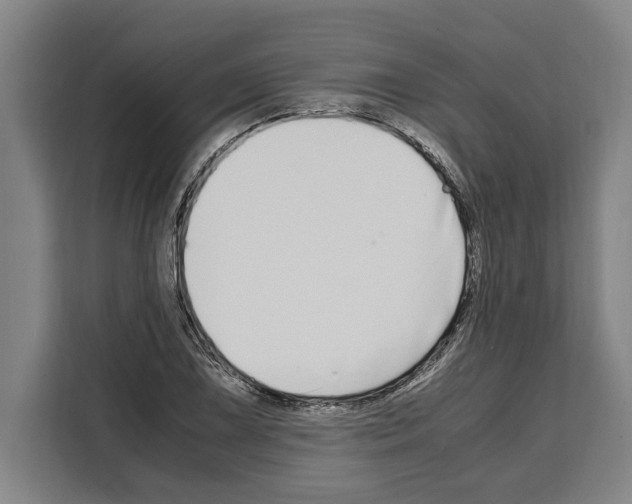 X0000108481075200905151218