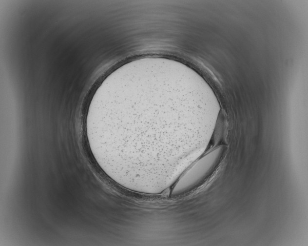 X0000108481077200905151218