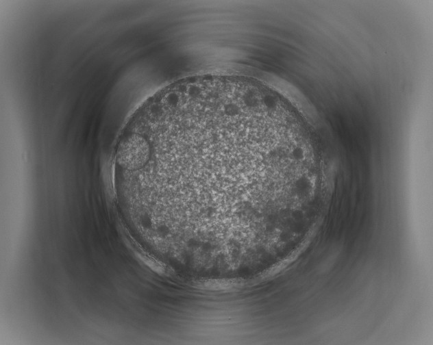 X0000108481078200905151218