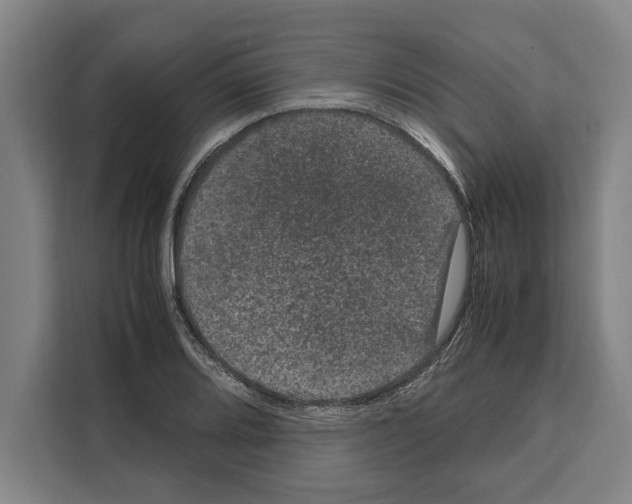 X0000108481080200905151218