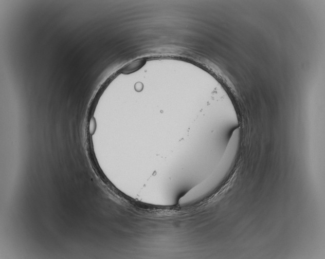X0000108481085200905151218