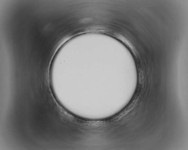 X0000108481087200905151218