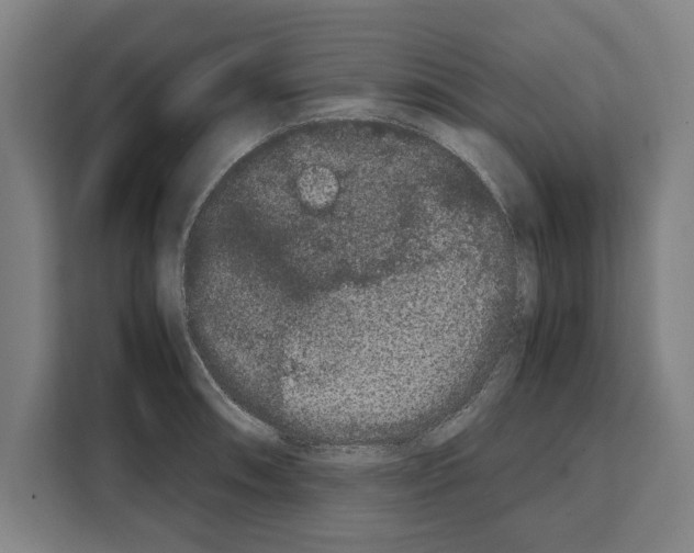 X0000108481090200905151218
