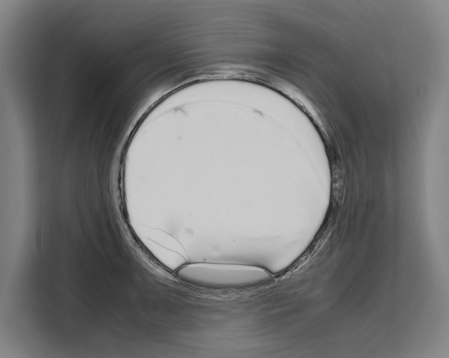 X0000108481091200905151218