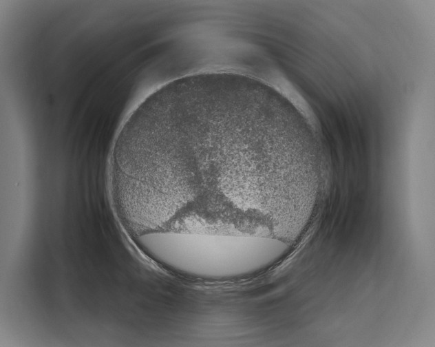 X0000108481094200905151218