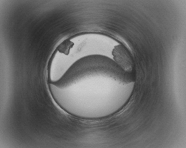 X0000108481095200905151218