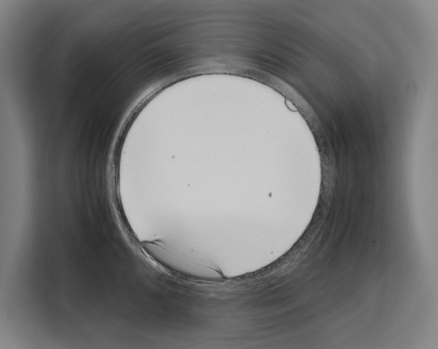 X0000108481096200905151218