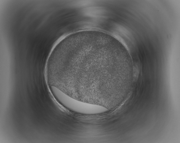 X0000108481098200905151218