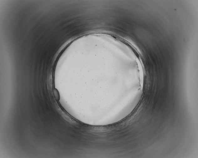 X0000108481100200905151218