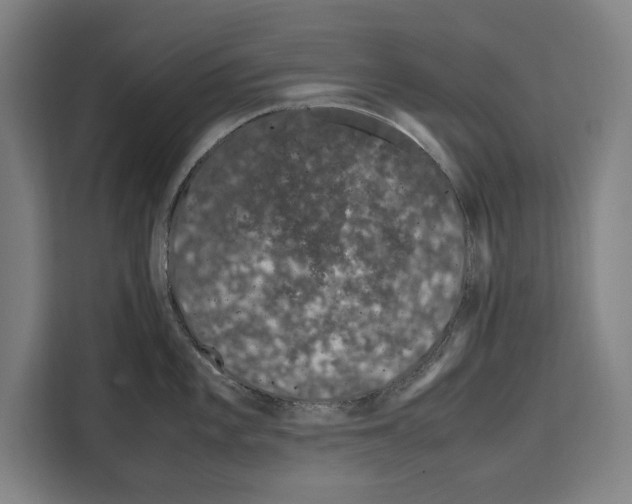 X0000108481101200905151218
