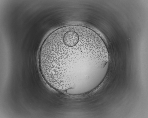 X0000108481102200905151218