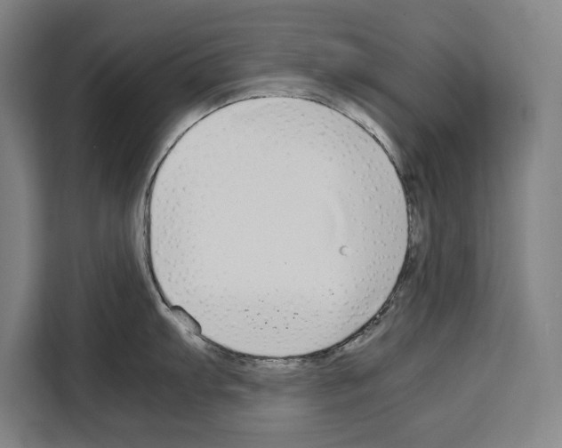 X0000108481103200905151218