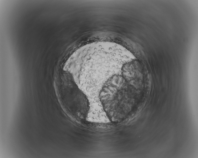 X0000108481105200905151217