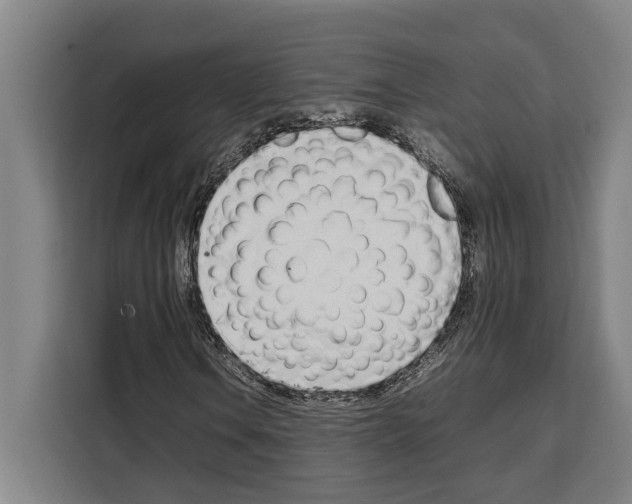 X0000108481106200905151217