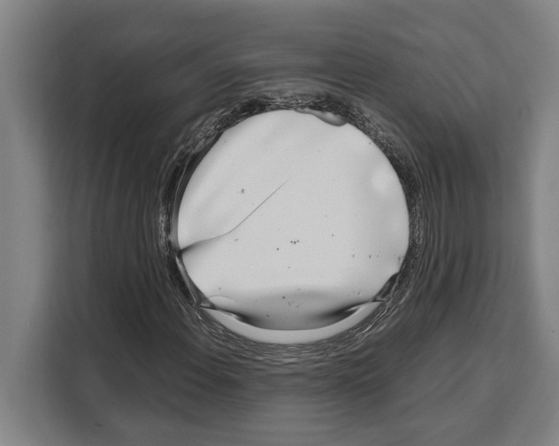 X0000108481108200905151217