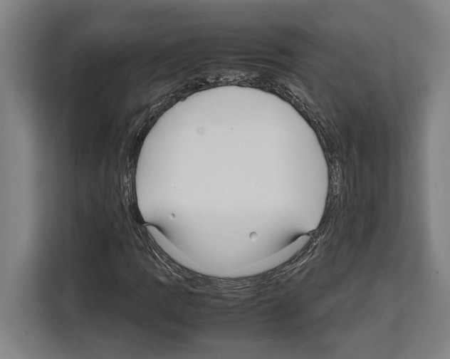 X0000108481109200905151217
