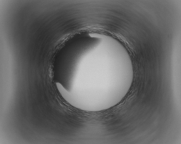 X0000108481110200905151217